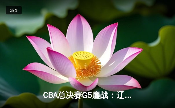 CBA总决赛G5鏖战：辽宁本钢加时逆转广东宏远 成功卫冕总冠军 - 3